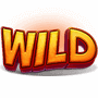Winner Toro-ワイルドシンボル(Wild)